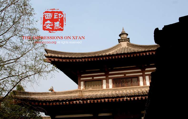 法门寺.jpg