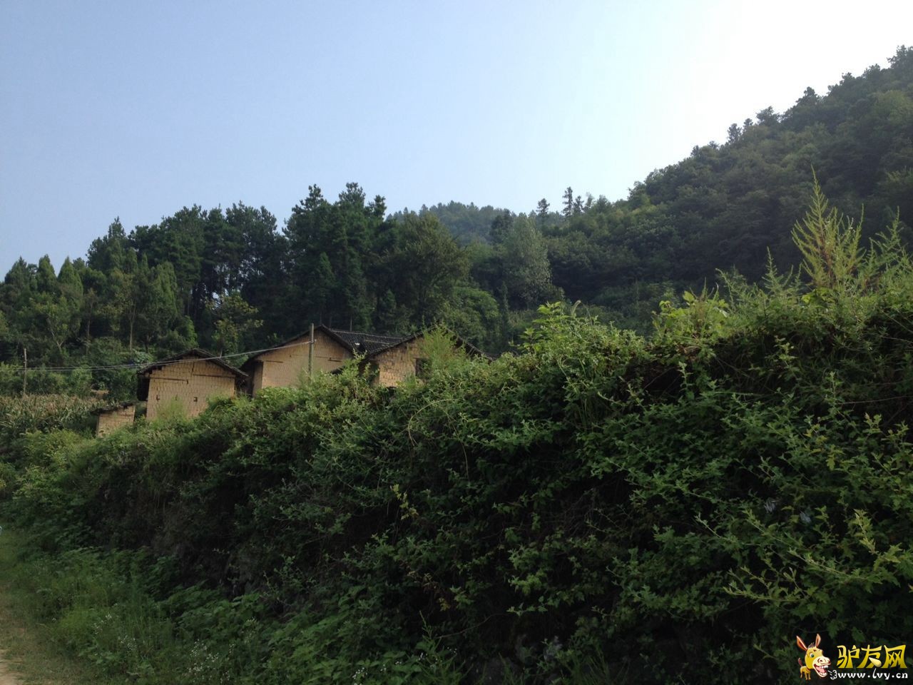 4bc9c556a55b72159e0faaef21597e8古石墙.jpg